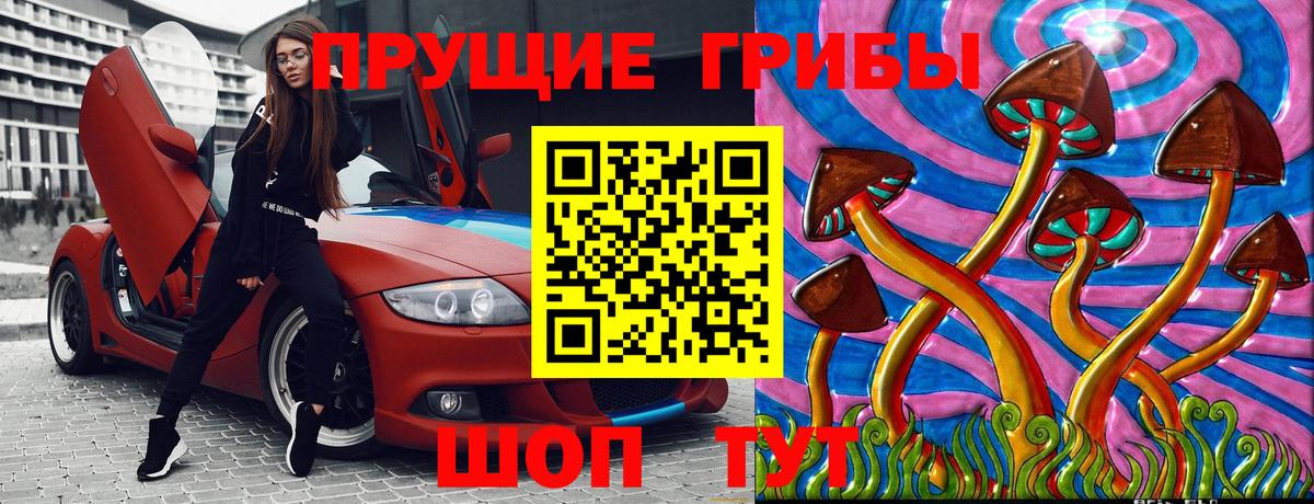 Галлюциногенные грибы GOLDEN TEACHER Кузнецк