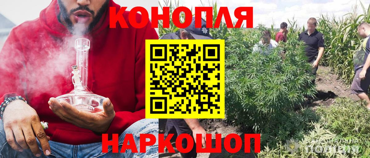 Конопля LSD WEED Кузнецк